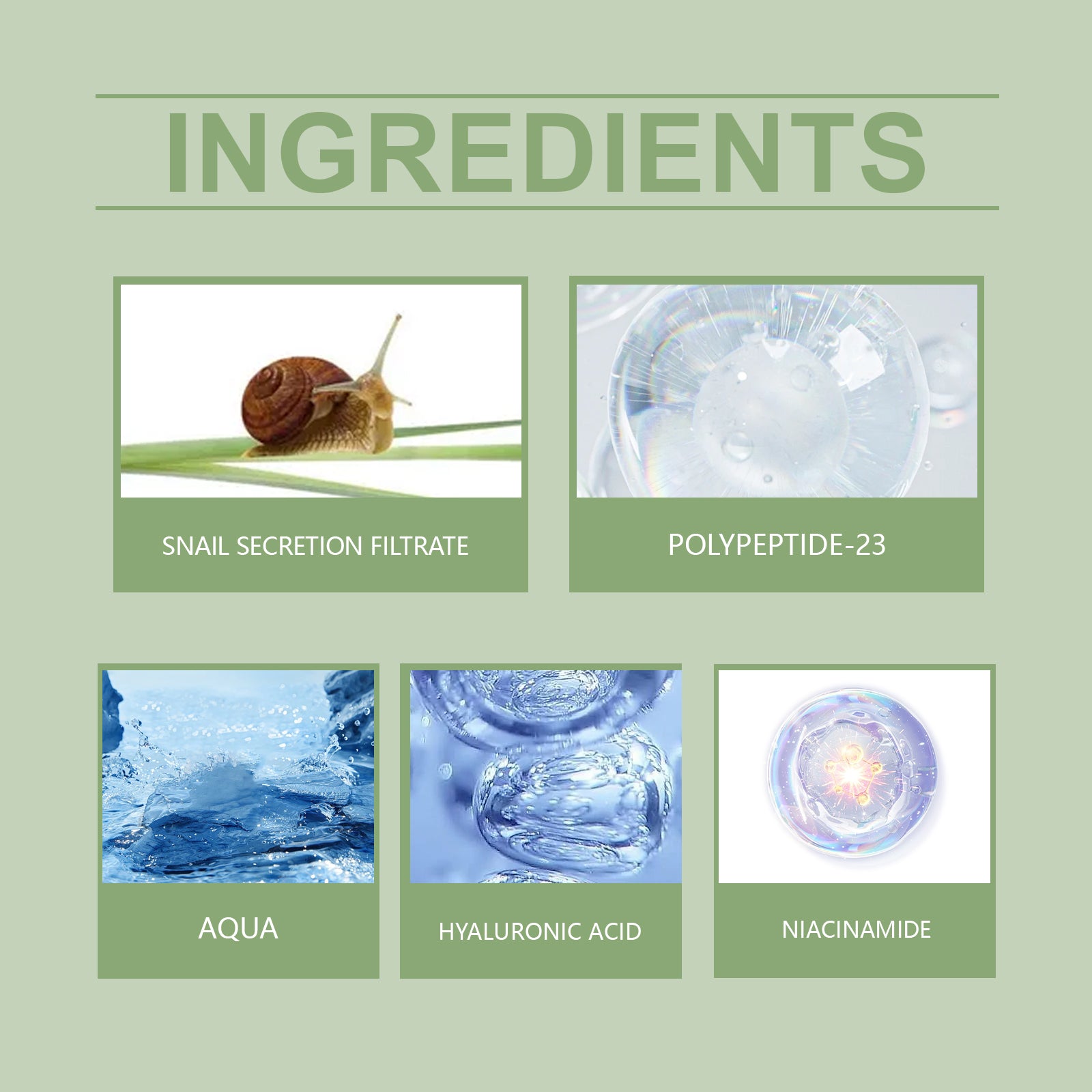 Snail Peptide Hyaluronic Acid Serum for hydrated and nourished facial skin
